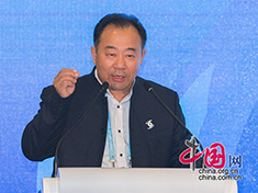 【分论坛：互联网文化与传播】金海峰发言